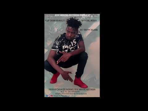 Flip SomerSault by Trippy Bleme