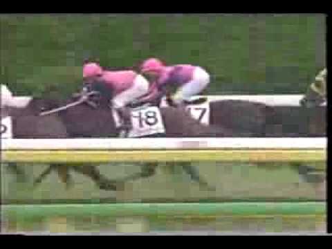 競馬騎手：南井克巳 ナリタブライアン94年 日本ダービー（東京優駿）