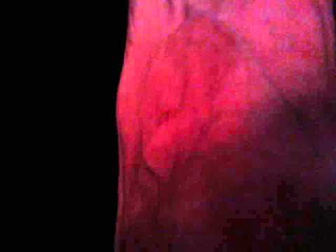 FINAL NAS MOVIE 321-13