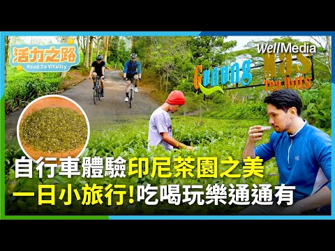 印尼最美茶園！Gunung Mas茶園一日遊 西爪哇旅遊景點推薦 永續旅遊新選擇！【活力之路】EP12