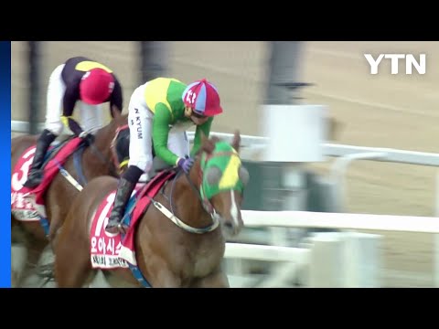 오아시스블루, 코리안더비 우승...삼관경주 2연승 / YTN
