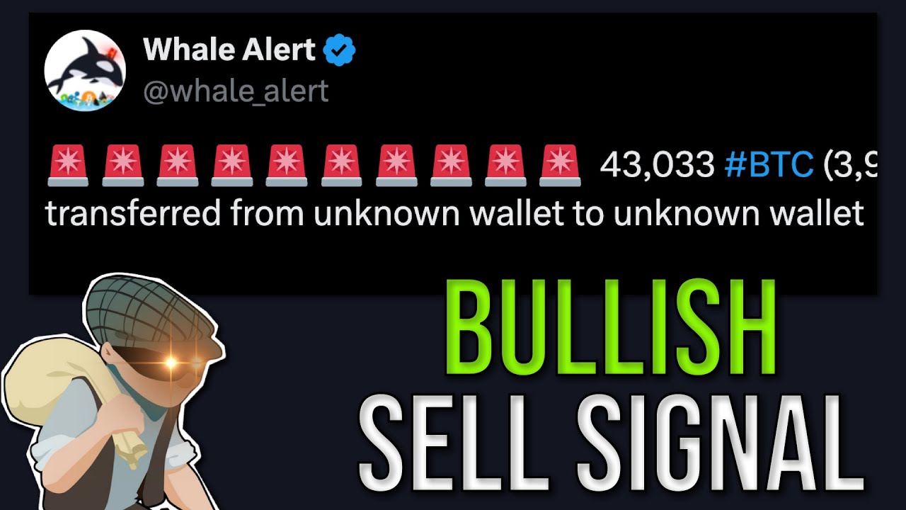 Bitcoin Fundamentals Are Screaming To BUY - Crypto Update