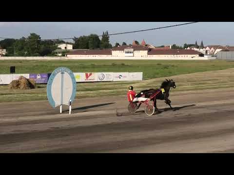 Trka "Libero doo-Pančevo" 27.07.2019 Montecatini - Branislav Mukić