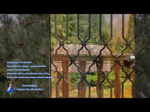 Pabudome ir kelkimes