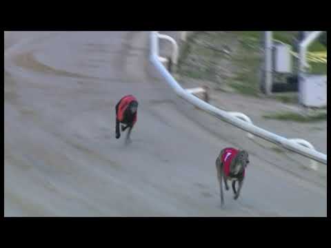 Winter Derby Run Off 11/2/2020