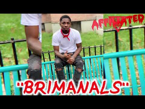 Zah B - "Brimanals" (Official Audio)