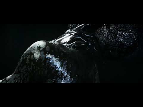 Madonna feat. Lil Wayne - Revolver (Music Video)