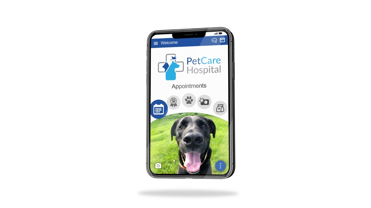 Meet Vet2Pet: The only customizable, all-in-one client engagement platform for veterinary practices