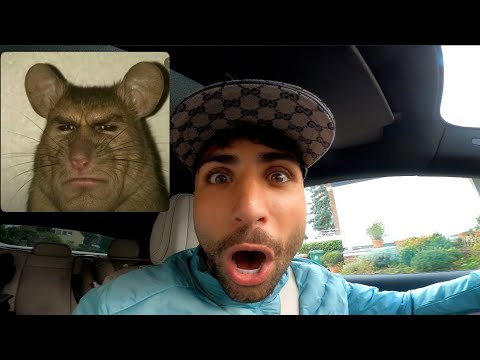 MAUS IM AUTO  !!! | Nader Louisa 