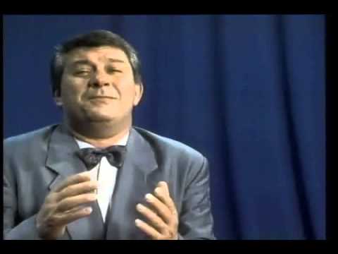 Zoran Gajic - Kad bi vino moglo da je vrati - (Vino ljubavi) - (Official Video 1991)