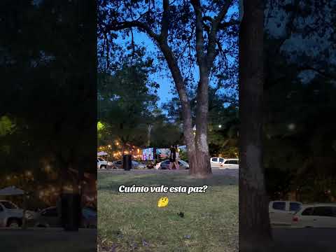 Parque Sarmiento me recuerda exactamente por qué elegí Córdoba para echar raíces 🧉😎