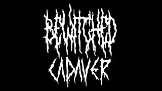 Bewitched Cadaver - DESTRUCTION THROUGH PURIFICATION (Official Audio Stream)