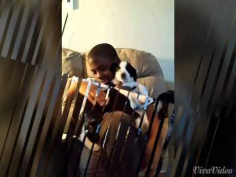 Happy birthday jaheim