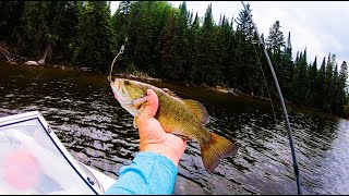 Fishing on a Beautiful River and My Car Camping Setup in the Rain