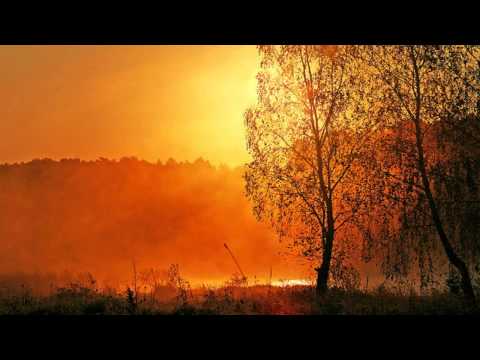 Evgeny Shagalov - Breath The Life (Leon 78 remix)