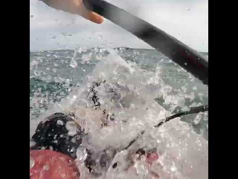 Fun paddle! #surfski #kayakingfun #roughsea #newzealand