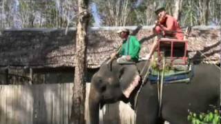 Igudesman rides Sherlock Holmes on an Elephant