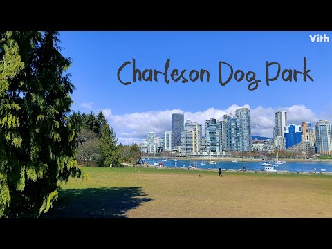 Um parque onde você pode curtir com seu animal de estimação em Vancouver, Canadá [Charleson Dog Park]