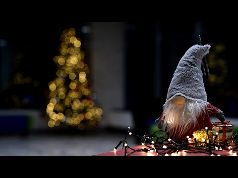 Katarzyna Danel "Puer natus est nobis" ARS CANTANDI