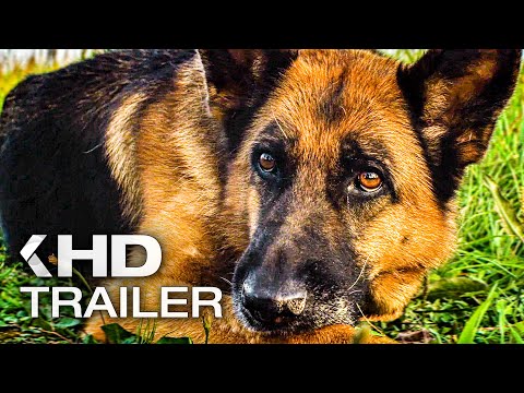 Trailer-Vorschau: Ein Hund namens Palma