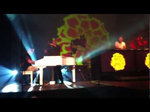 Tenishia in Concert Marigold