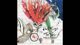 Pink Floyd - The Doctor (Comfortably Numb, Unreleased Track)