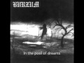 Burzum-Feeble Screams From Forests Unknown w ...