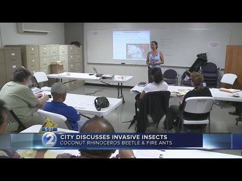 City workers join fight against invasive insects