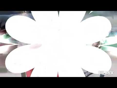 JAY SARAI FT SHISHO D SINA FURAHA video song