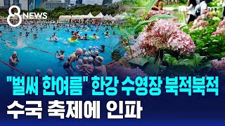 "벌써 한여름" 한강 수영장 북적북적..수국 축제에 인파 / SBS 8뉴스