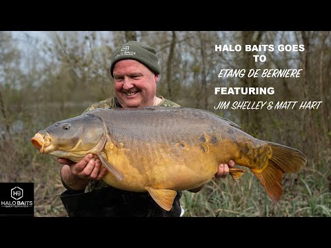 HALO BAITS GO TO FRANCE FEATURING JIM SHELLEY