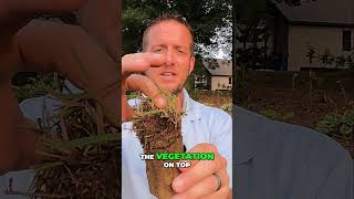 Effortless Grass Transplanting Secrets