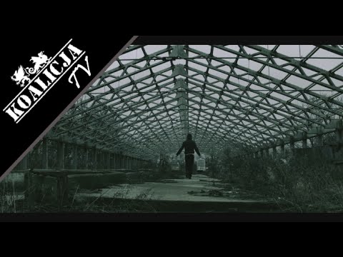 Wysoki Koalicja ft. Sylwia Dynek - Persona prod. Premier Arena (VIDEO) Drum&Boom