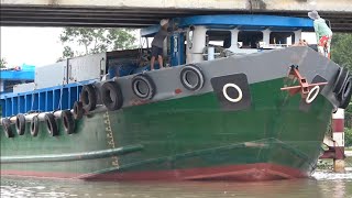 Download the video "sà lan khổng lồ vướng cầu thấp vào mùa nước lớn"