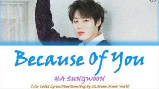 꽃파당 OST HaSungWoo (하성운) 나란 사람 Because of you 아주 달콤하고 따뜻한 목소리 꽃파당 OST HaSungWoo (하성운) 나란 사람 Because of you 아주 달콤하고 따뜻한 목소리
