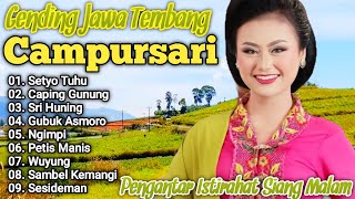 Download lagu FULL LANGGAM CAMPURSARI TERBARU PALING ANGLES COCOK BUAT PENGANTAR TIDUR SIANG DAN MALAM mp3
