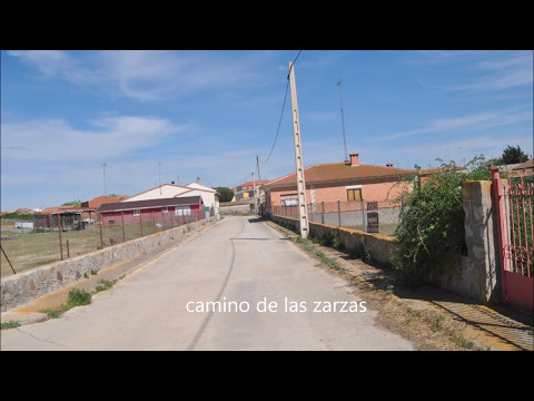 BLASCOSANCHO Y SUS CAMINOS