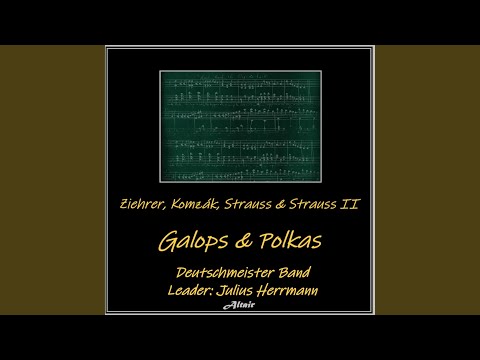 München-Wien, ein Sinn, Op. 154