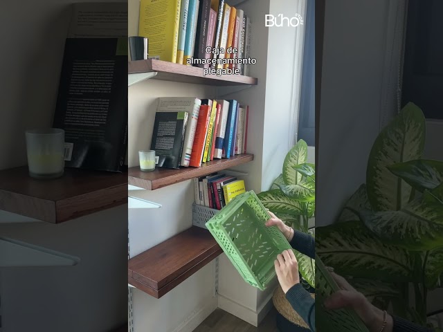 Vídeo relacionado con Relaxdays Caja de Almacenaje Plegable 60 L, Plástico, Gris, 31.5 x 58.5 x 40 cm