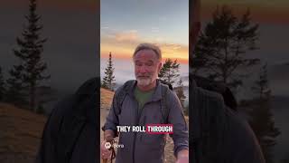 Robin Williams we miss you!