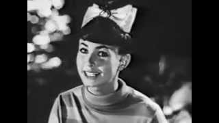 Donna Loren-Dr Pepper Commercial "Campfire" (circa 1964)