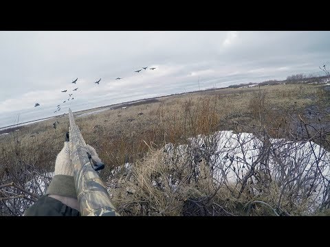 ОХОТА НА ГУСЯ 2019 ч 2. Крайний Север. НАО.