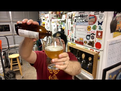 2022 Hops Experiment - Lupomax Mosaic Hops