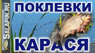 Как увидеть поклевку на фидер