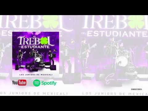 El trébol y el estudiante - los juniors de mexicali (letra)