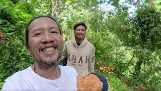 Download lagu SAHUR YUK SAHUR BTS SANES Klip Terbaru Fida AP Tayang di PETIK MERAH MUSIK mp3