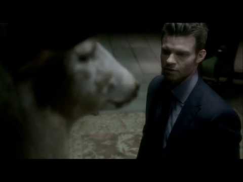 The Originals Season 2 Episode 11 - Elijah Told Klaus About Tatia
