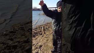 Рыбалка на реке болда астрахань