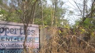 Mahavir Kalpavruksha