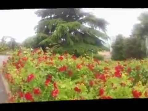 Paris Tourisme Parc Suzanne Lenglen 15ème